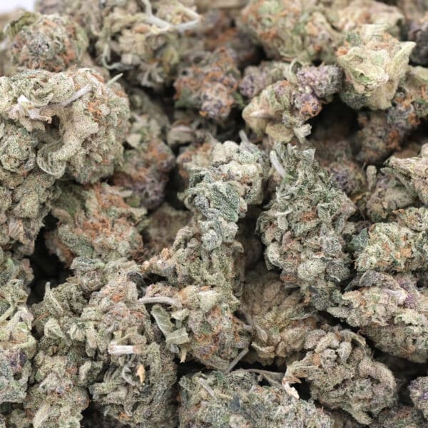 Cake Mix – Hybrid – AA