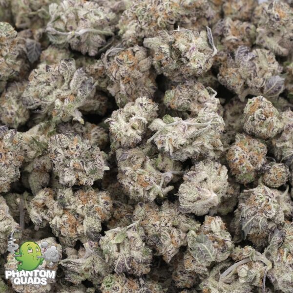 Chocolate OG – Indica Dominant – AAAA – Phantom Quads