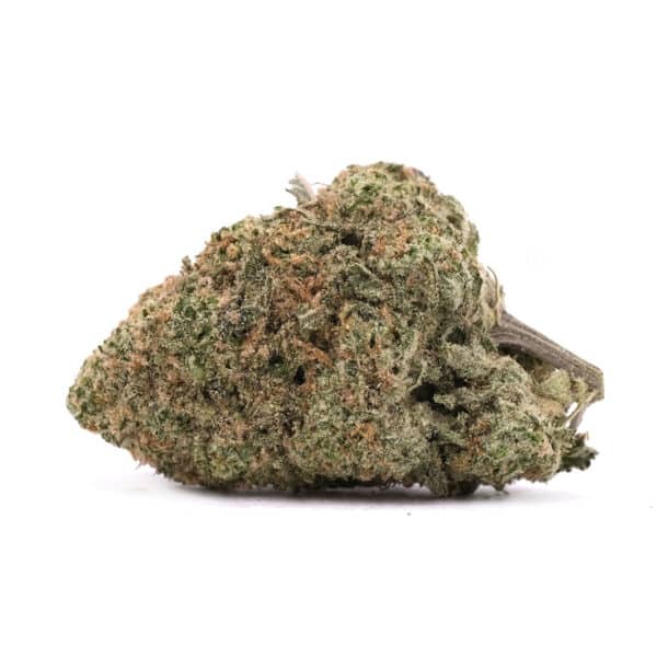 Cookies Kush – Hybrid – AAA