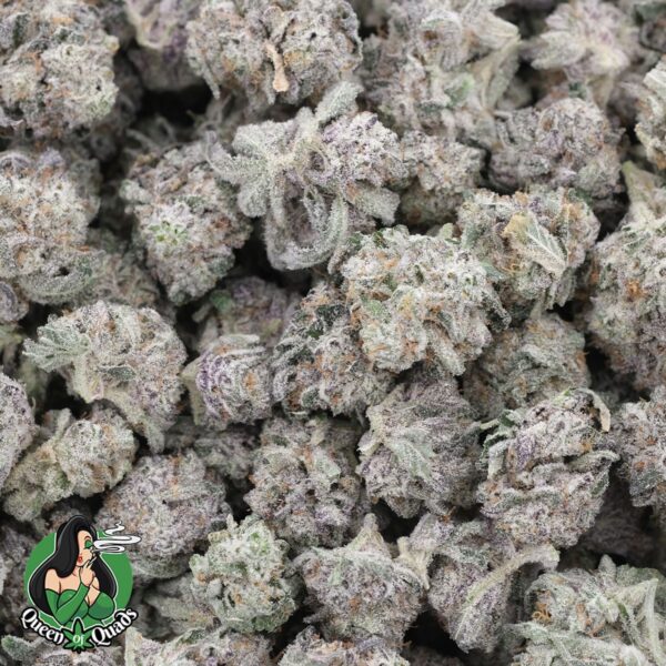 Jealousy Smalls – Hybrid – AAAA – Queen Of Quads