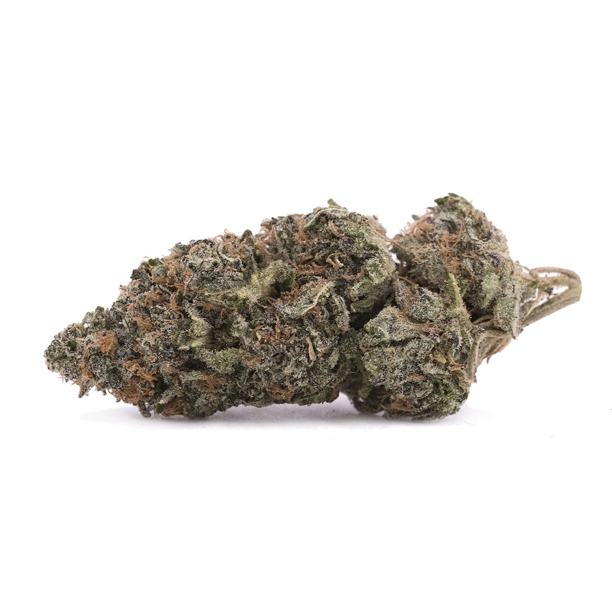 Lemon Cherry Gelato – Hybrid – AAA