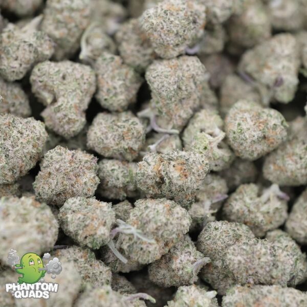 MAC Daddy – Hybrid – AAAA – Phantom Quads