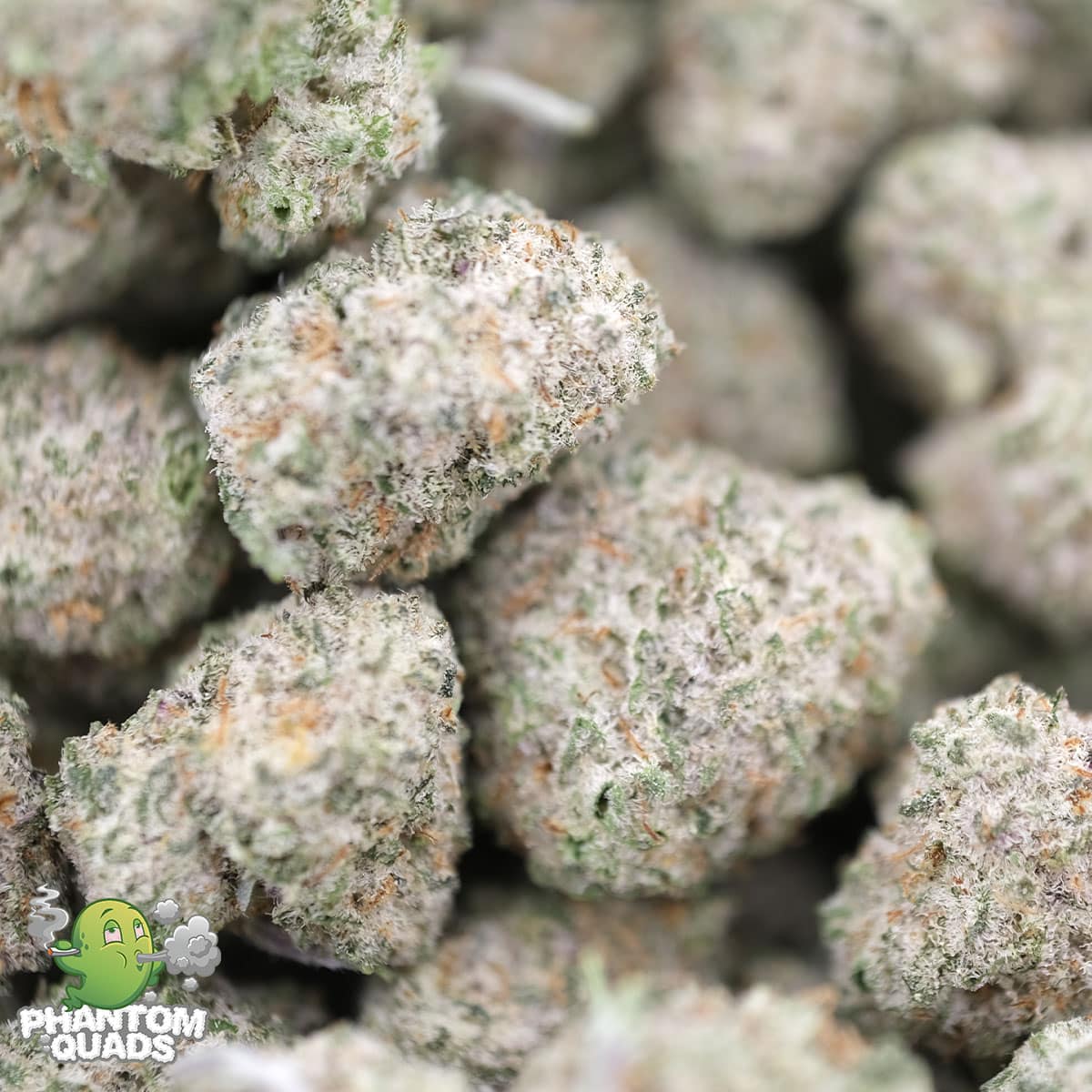 MAC Daddy – Hybrid – AAAA – Phantom Quads - Image 2