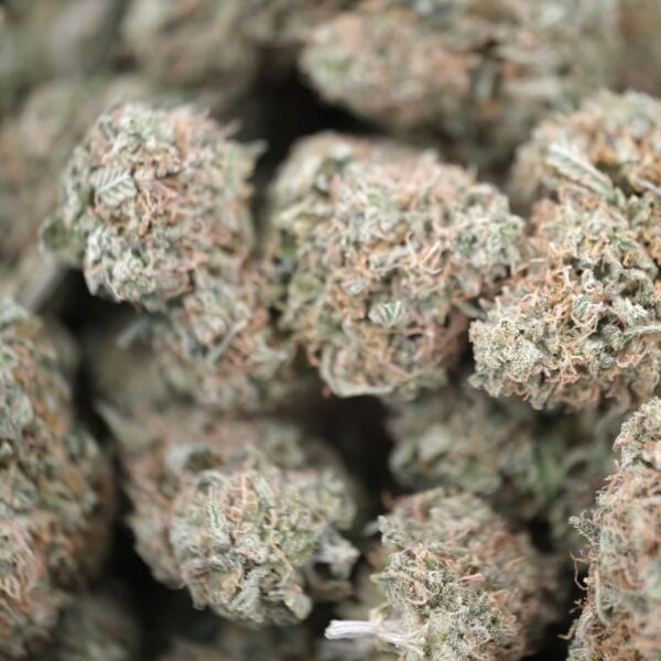 Sour Apple – Sativa – AAA