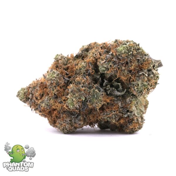 El Chapo OG – Indica Dominant – AAAA – Phantom Quads