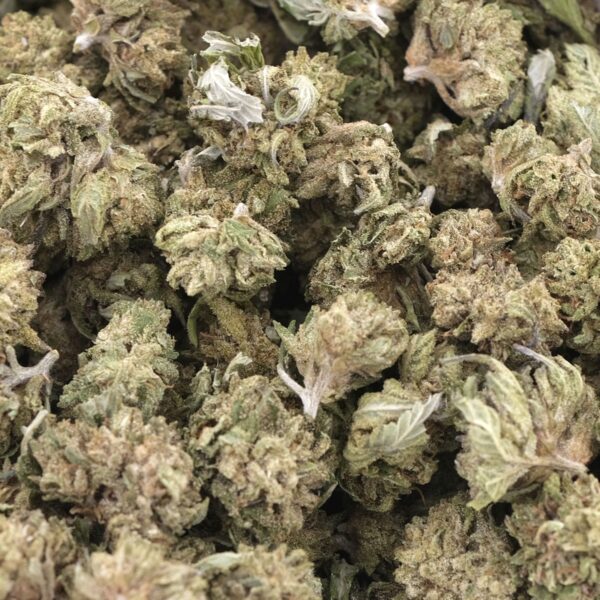 Magic Marker – Hybrid – AA