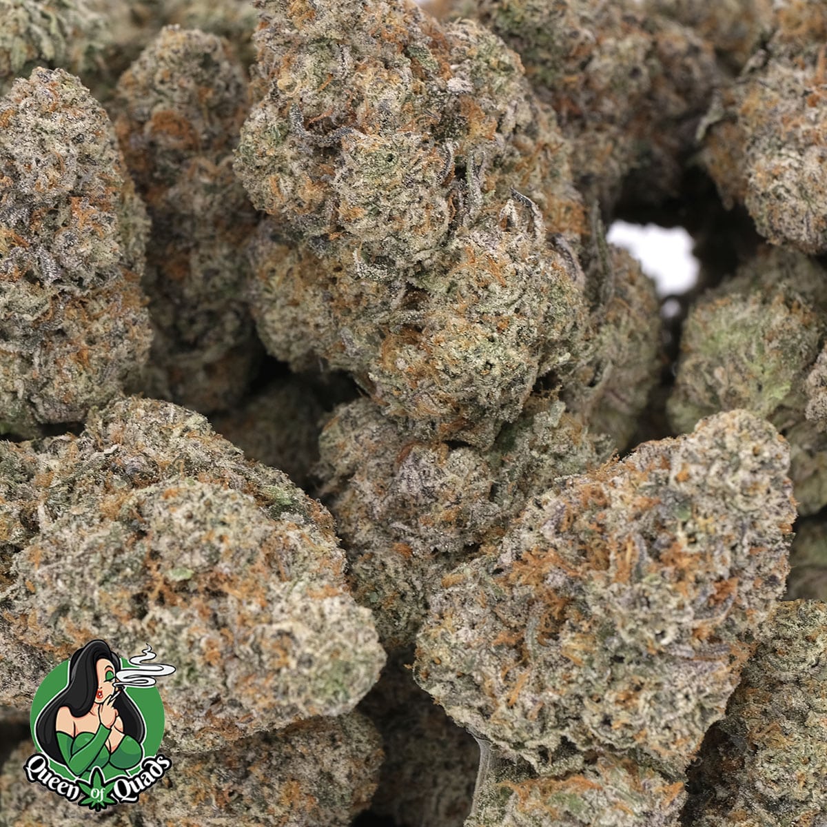 Permanent Marker – Hybrid – AAAA – Queen Of Quads - Image 3