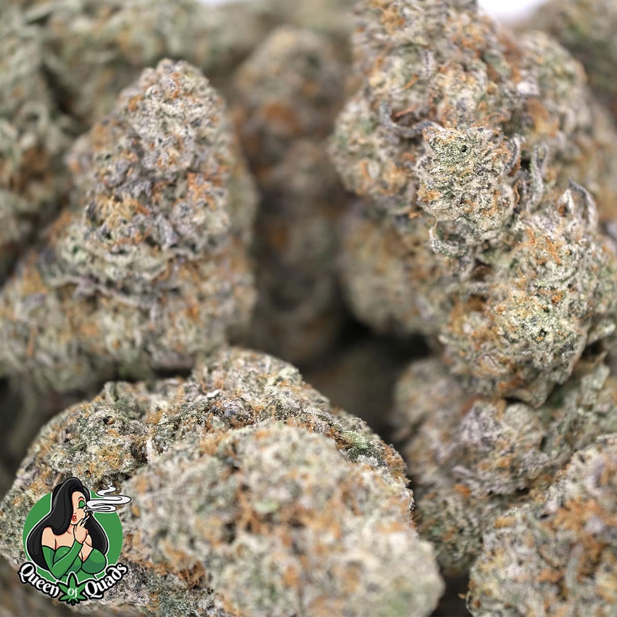 Permanent Marker – Hybrid – AAAA – Queen Of Quads - Image 4