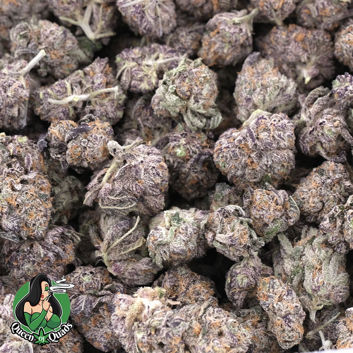 Purple Punch Smalls – Indica – AAAA – Queen Of Quads