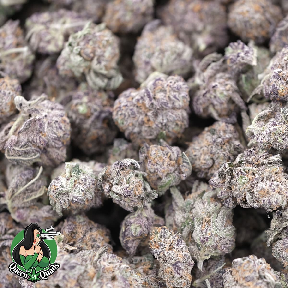 Purple Punch Smalls – Indica – AAAA – Queen Of Quads - Image 2