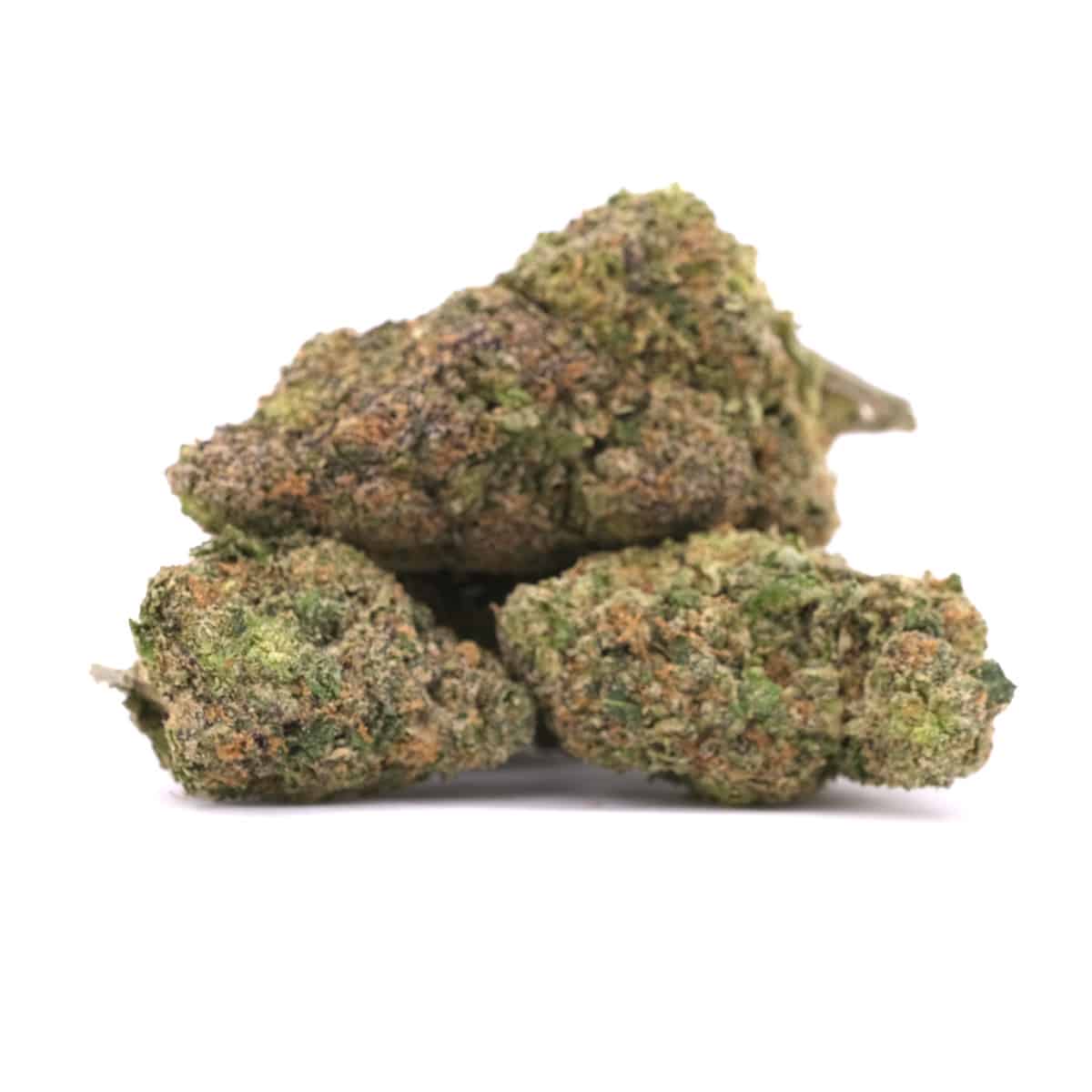 Rainbow Sherbet – AAA – Hybrid - Image 2