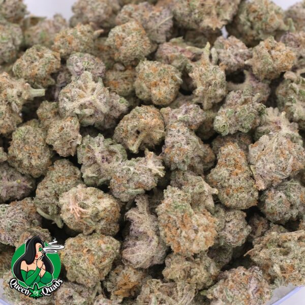 Strawberry Mimosa ( Popcorns ) – Hybrid – AAAA – Queen Of Quads