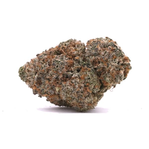 Black Widow - Hybrid - AA