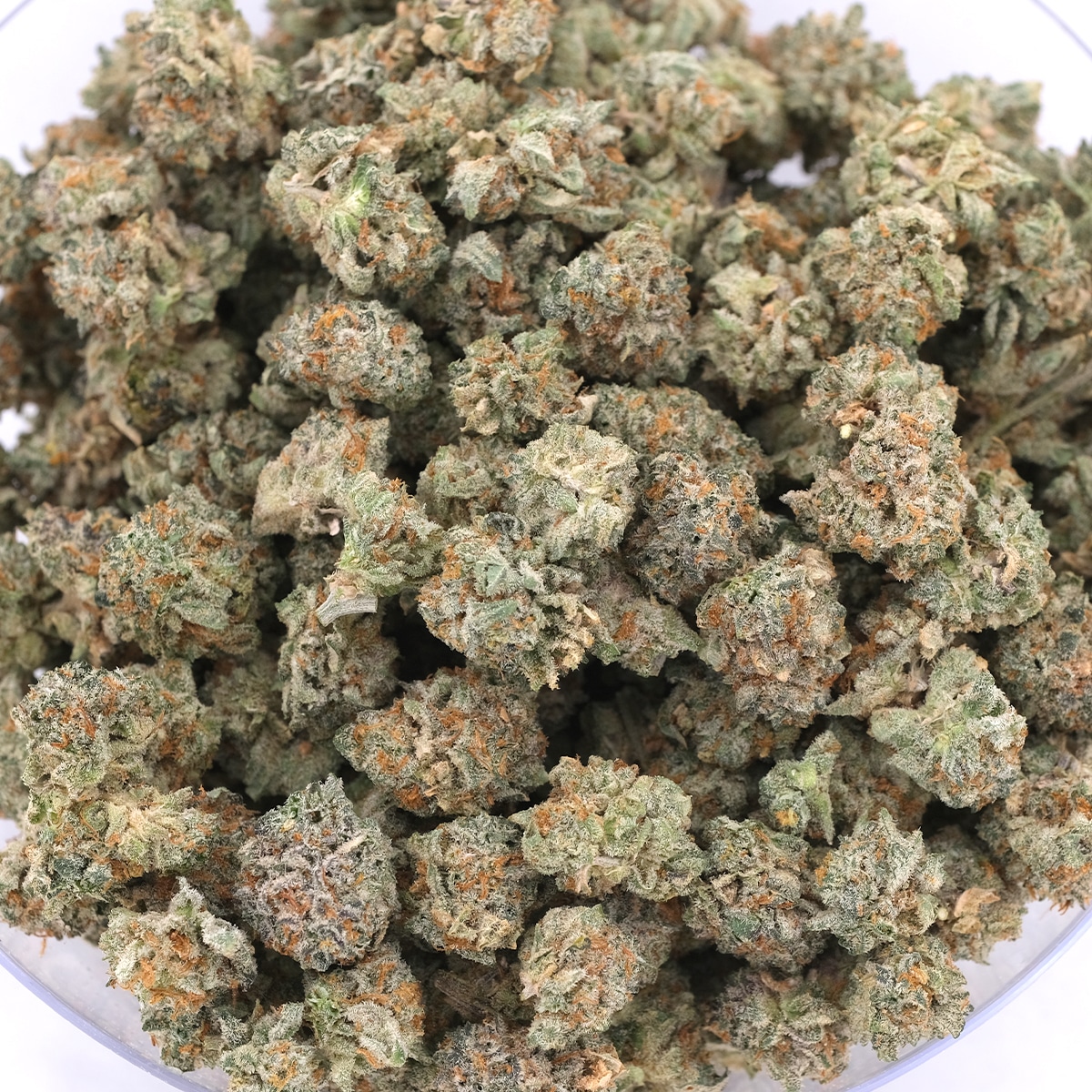 Black Widow - Hybrid - AA (Popcorn)