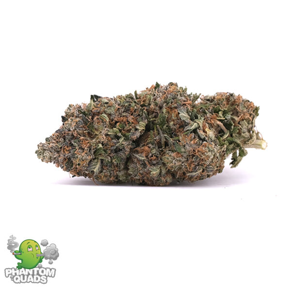 Milk And Cookies - Hybrid - AAAA - Phantom Quads