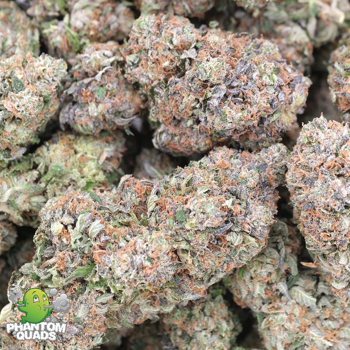 Milk And Cookies - Hybrid - AAAA - Phantom Quads - Image 3