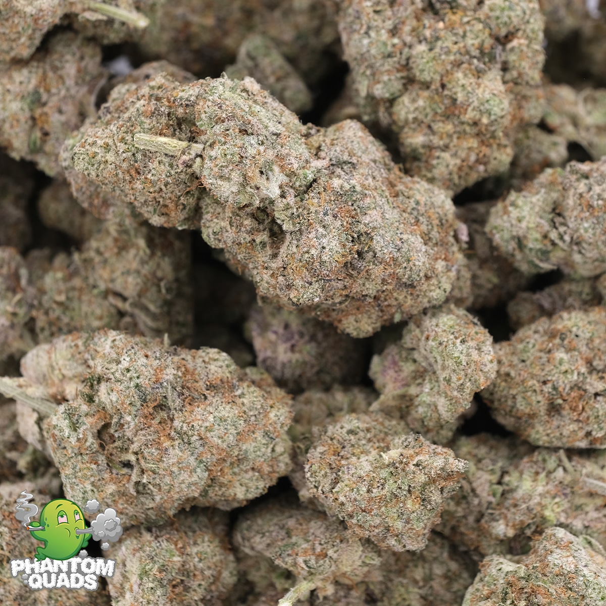 AK-47 - Hybrid - AAAA - Phantom Quads - Image 3
