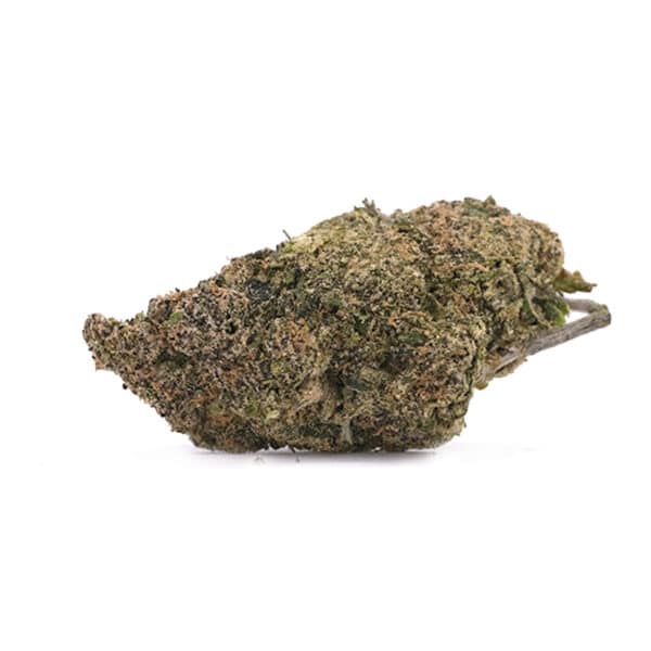 Blue Mango (Medium Nugs) - Hybrid - AAA