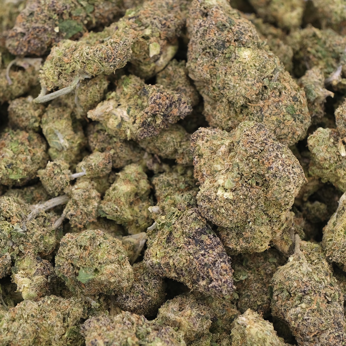 Blue Mango (Medium Nugs) - Hybrid - AAA - Image 3