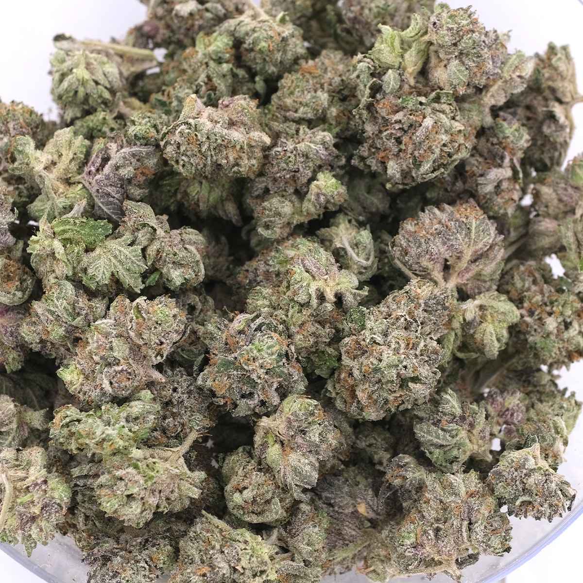 Source photograph: – Indica – AAA