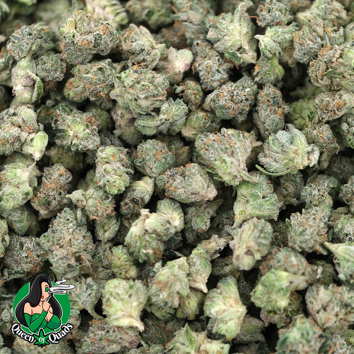 Gas Candy (Popcorn) - Indica - Queens Of Quads - Image 2