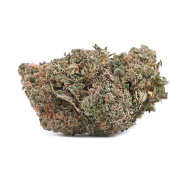 Ice Cream Cake - Hybrid - AAA