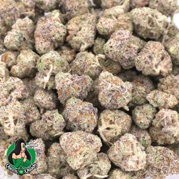 MAC Daddy (Popcorn) - Hybrid - AAAA - Queen Of Quads