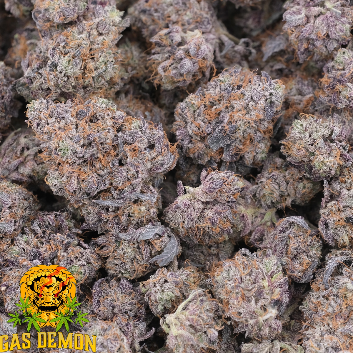 Purple Hindu Kush - Indica - AAAA - Gas Demon - Image 3