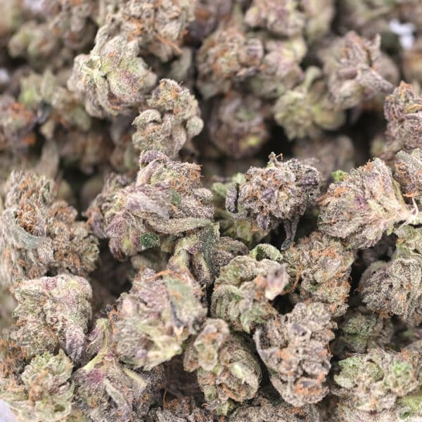 Purple Kush (Popcorn) - Indica - AAA