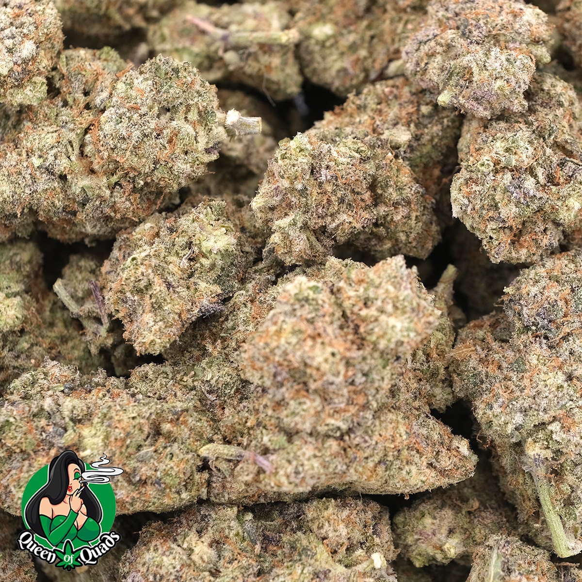 Sour Apple Fritter – Hybrid – AAAA – Queens Of Quad 1