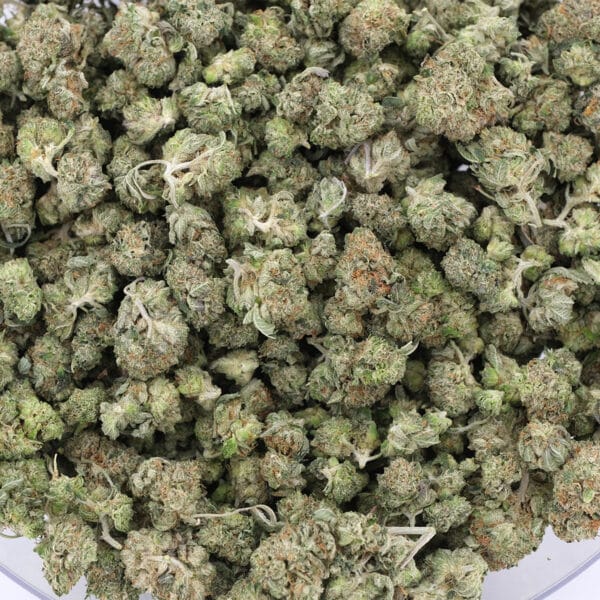 Lemon Diesel - Hybrid - AAA