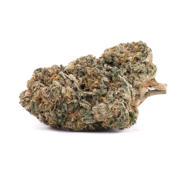 Moby Dick - Sativa - AAA