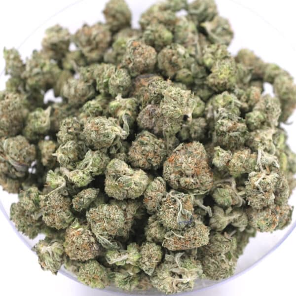 Pink Panties - Indica Dominant Hybrid - AAA+