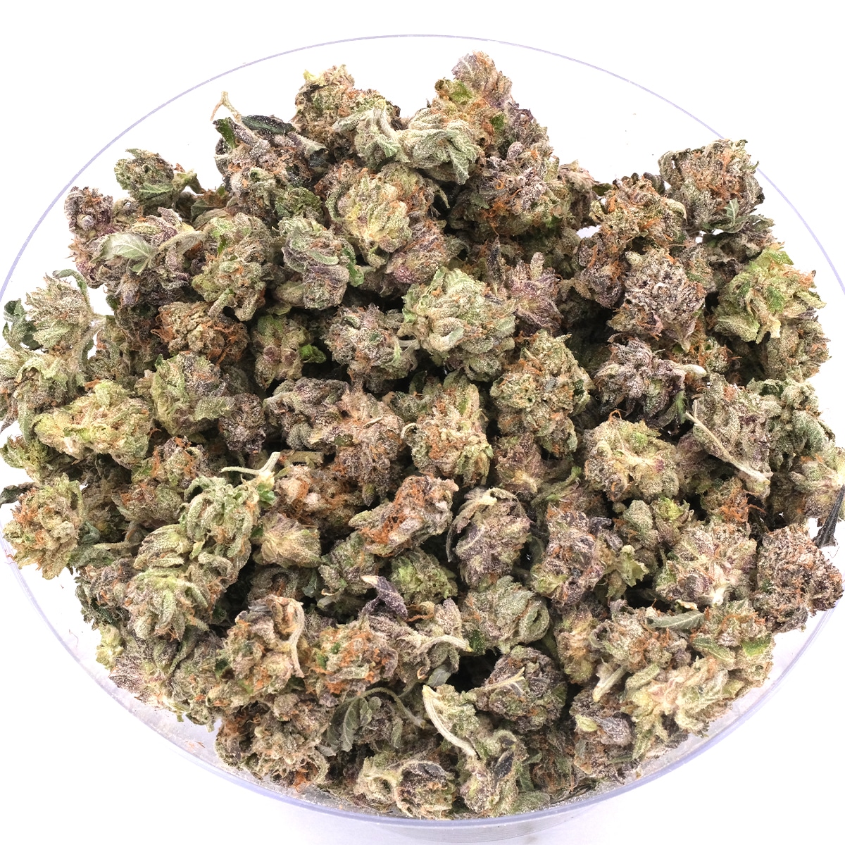 Source photograph: – Indica Dominant Hybrid