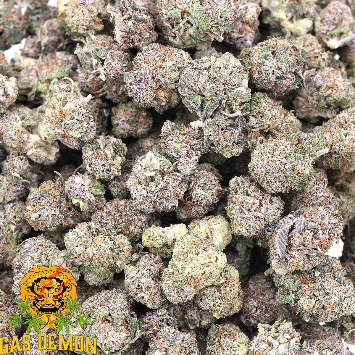 Blue Raspberry (Popcorns) - AAAA - Hybrid - Gas Demon