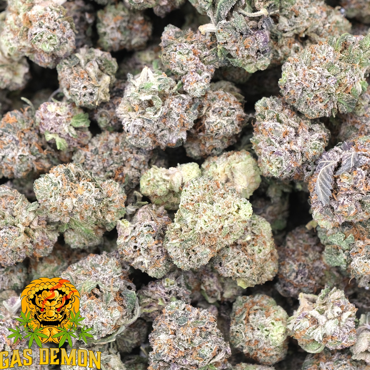 Blue Raspberry (Popcorns) - AAAA - Hybrid - Gas Demon - Image 3