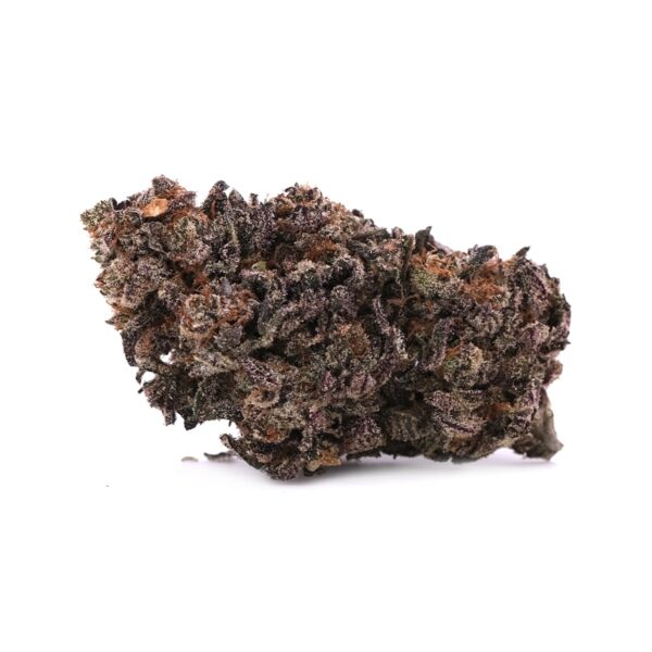 Pink Hawaiian | AAA | Hybrid