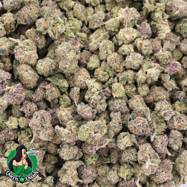 Purple Thai (Popcorn) - AAAA - Hybrid - Queen Of Quads