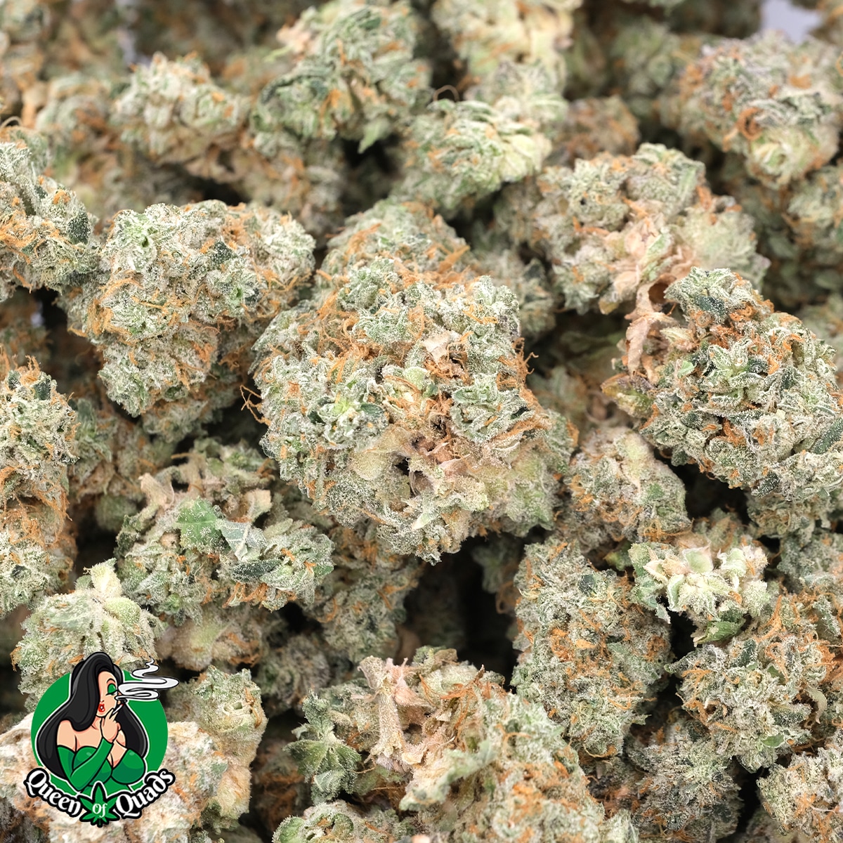 Sour Urkle (Popcorns) - AAAA - Hybrid - Queen Of Quads - Image 2