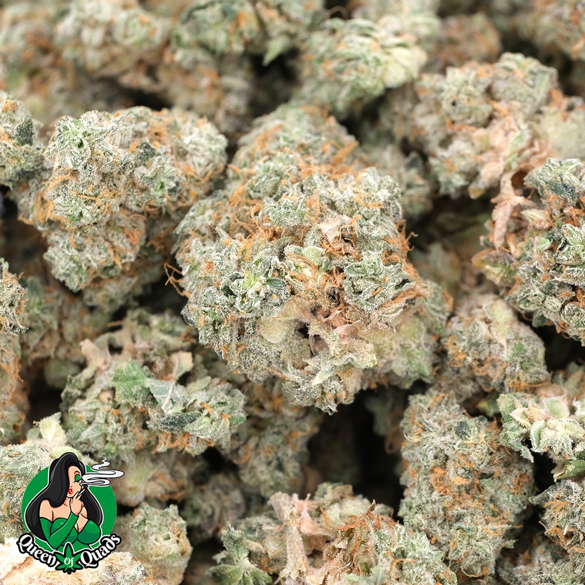 Sour Urkle (Popcorns) - AAAA - Hybrid - Queen Of Quads - Image 3