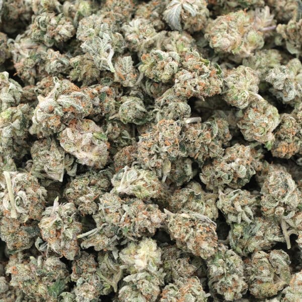 Gas Candy – AAA – Indica 1