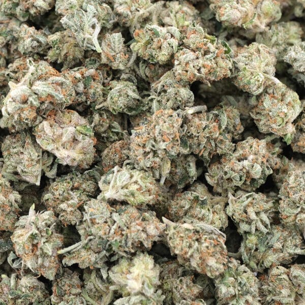 Gas Candy – AAA – Indica 1