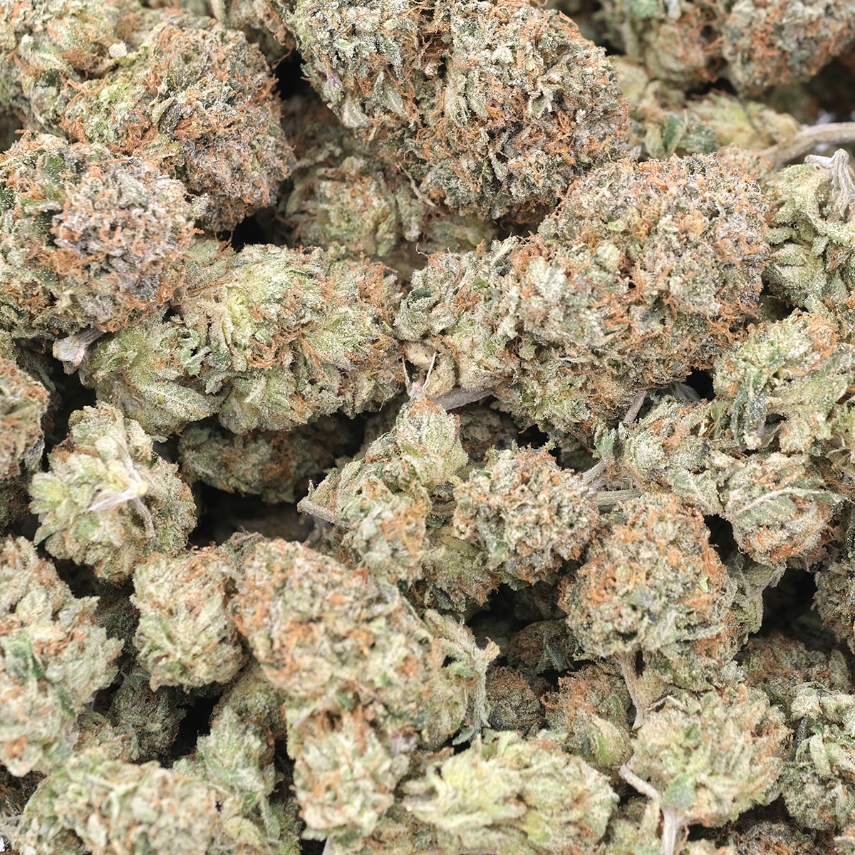 Melon OG - Hybrid - AAA