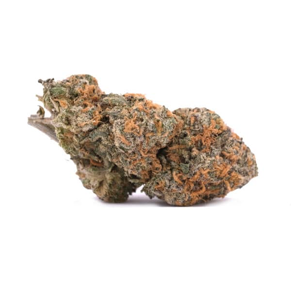 Orange Cream Pie - AAA - Hybrid 1
