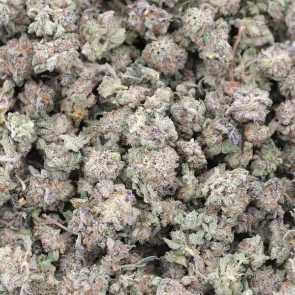 Purple Kush - AAA - Indica 1
