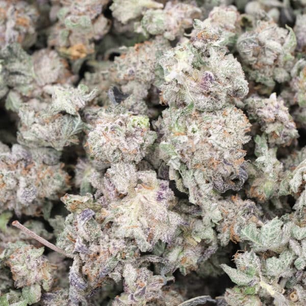 Purple Kush - AAA - Indica 1