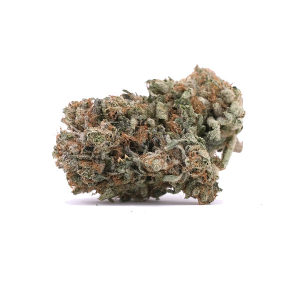 Afghani Hash Plant - Indica - AAA 1