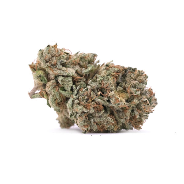 Afghani Hash Plant - Indica - AAA 1