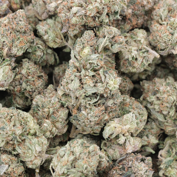 BC Tuna Kush – AAA – Indica 1