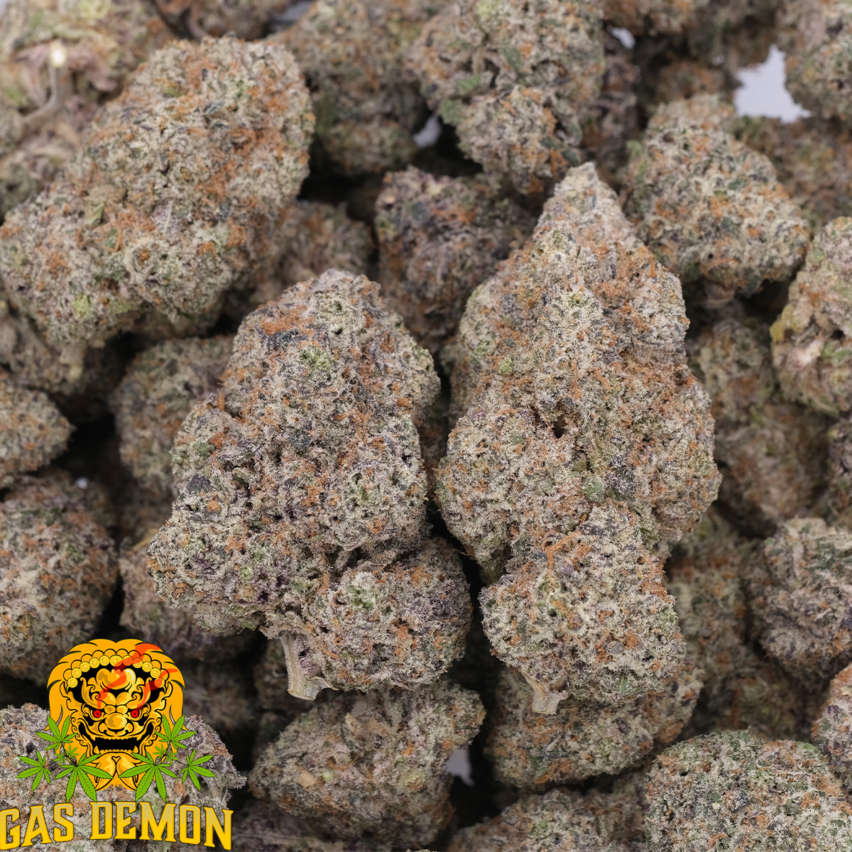 Darth Vador - Indica - AAAA - Gas Demon 1